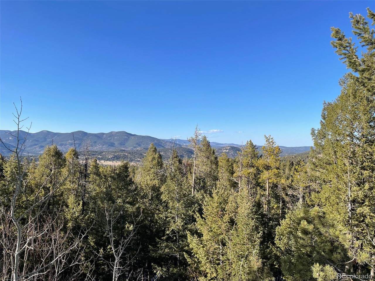 33131 Lynx Ln - Photo 1