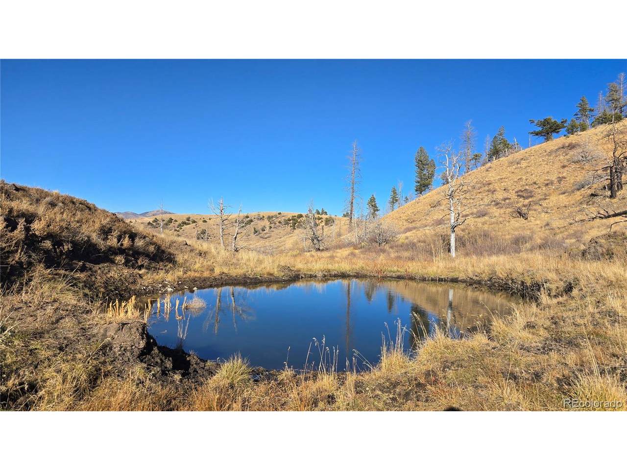 7741 Van Giesen Rd - Photo 1