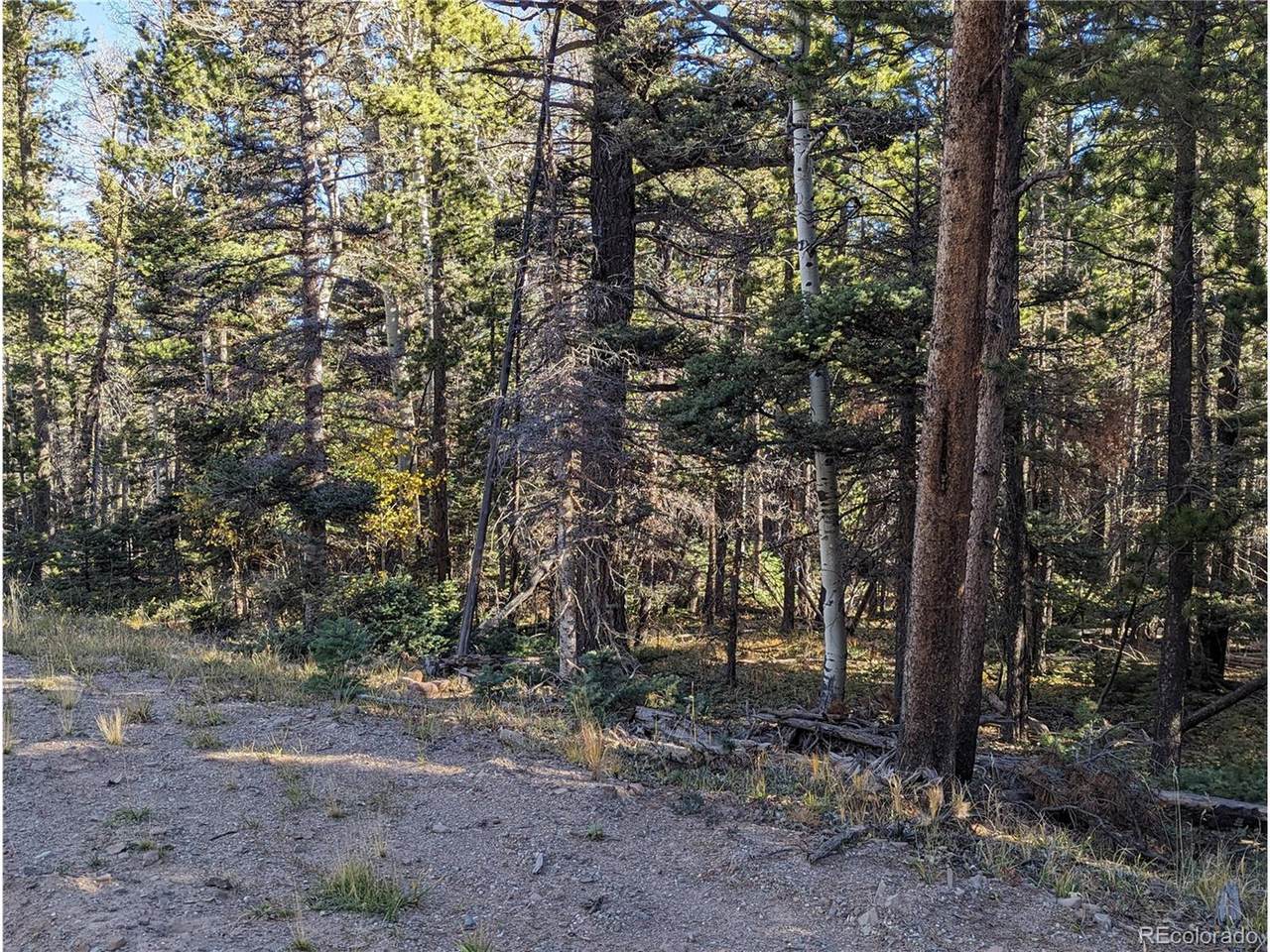 3067 Forbes Park Loop - Photo 1