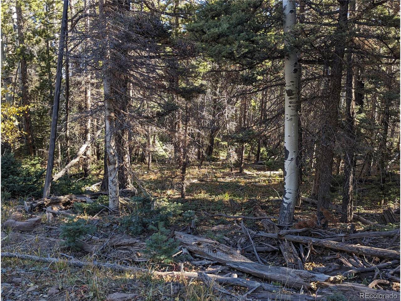 https://bt-photos.global.ssl.fastly.net/ires/1280_boomver_1_402005516-2.jpg