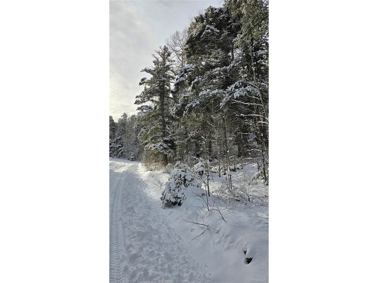 5540 Joy Rd - Photo 1