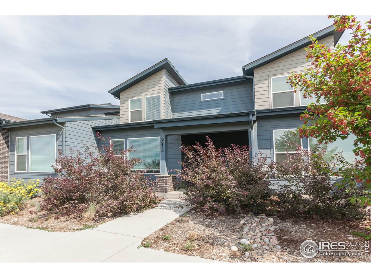 2215 Shandy St - Photo 1
