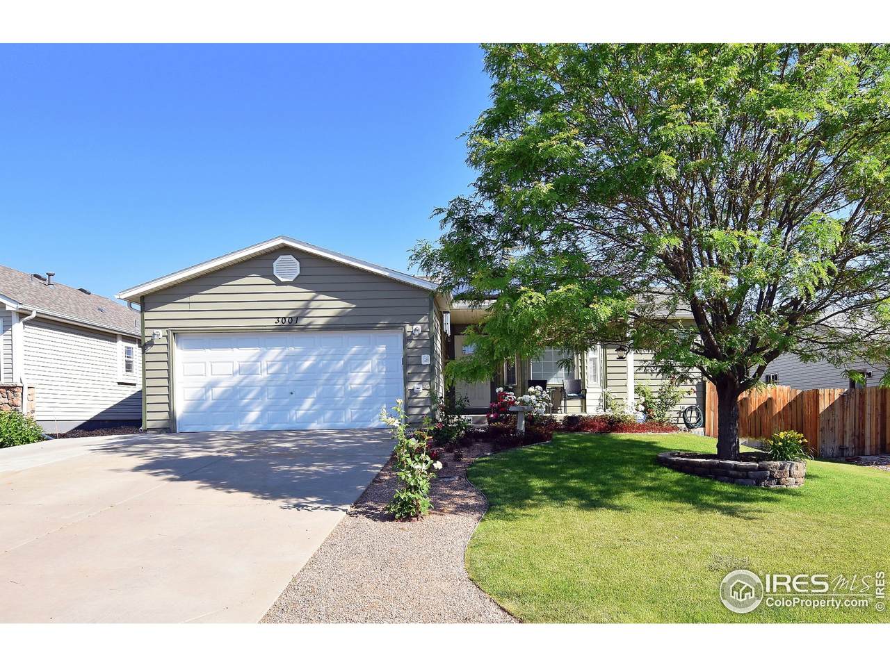 3001 Spring Cove Dr - Photo 1