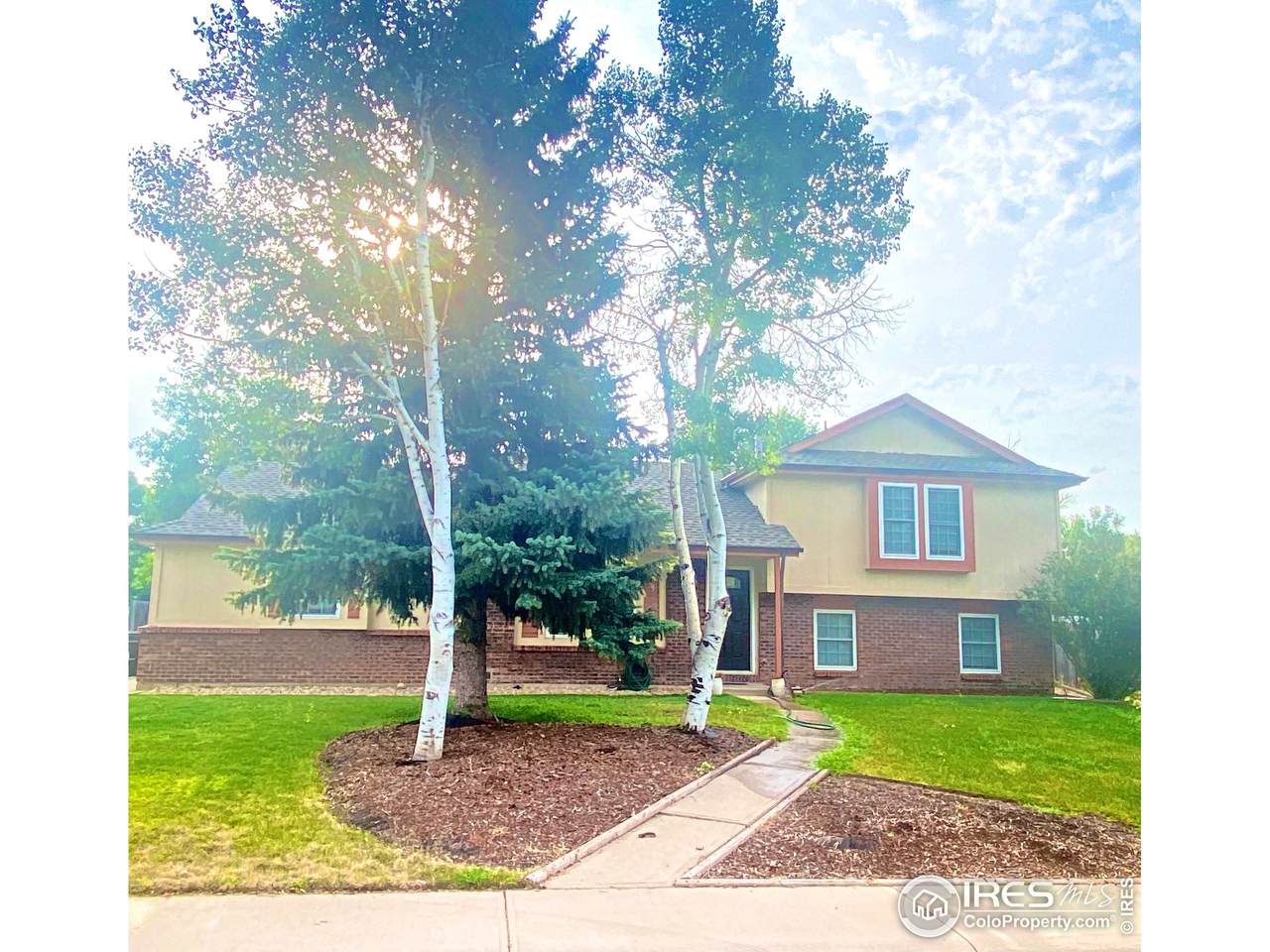 709 Buckhorn Mountain Ct - Photo 1