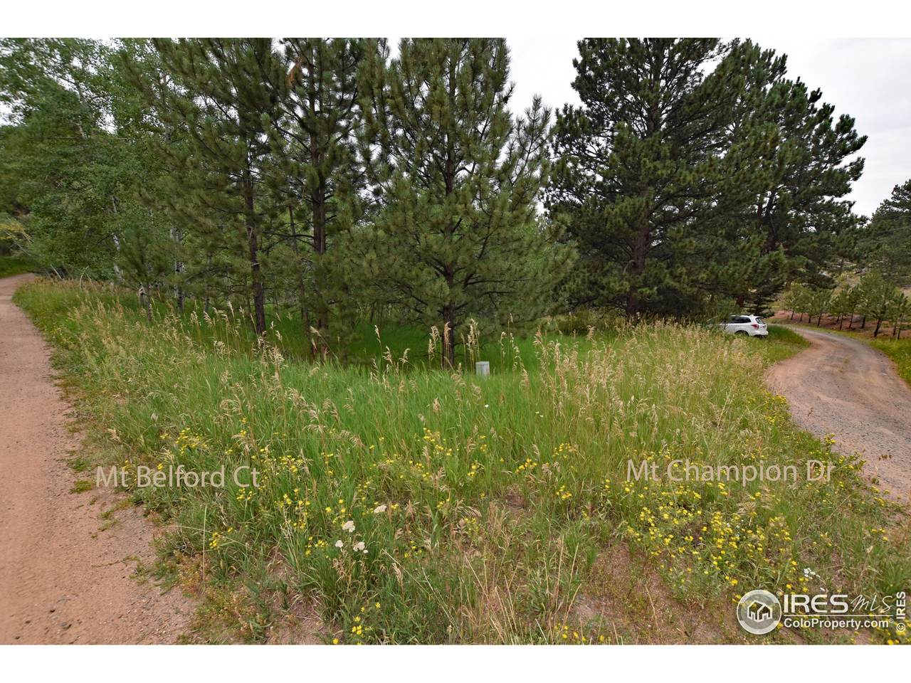1133 Mount Champion Dr - Photo 1