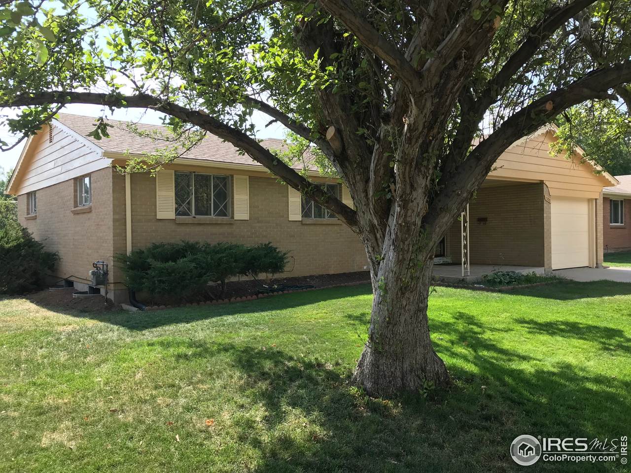 1330 6th Ave - Photo 1