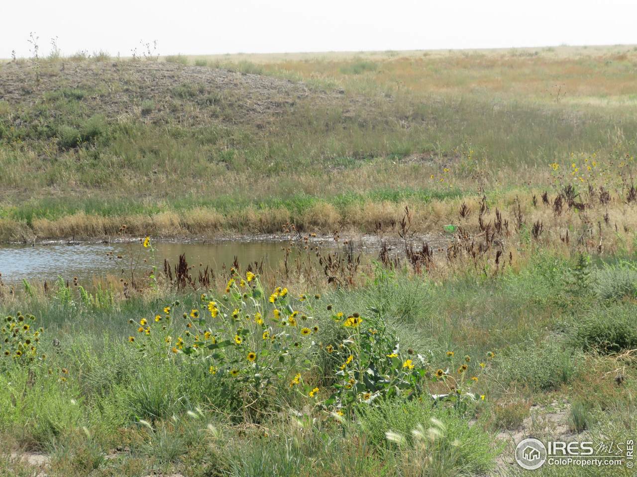 Lot 9 County Road 51 - Photo 1