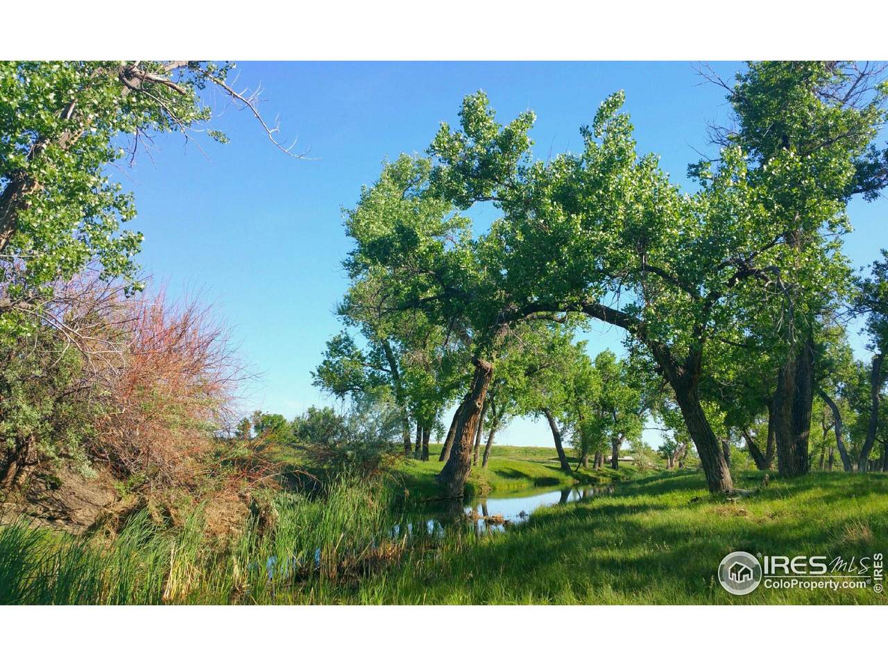 0 County Road 170 - Photo 1