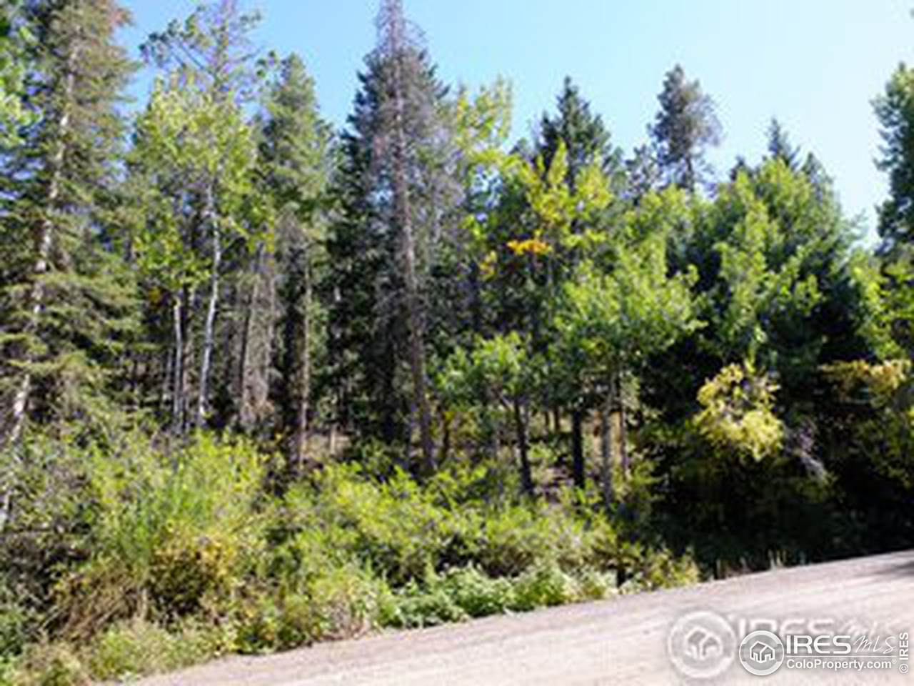 11686 Brook Rd - Photo 1
