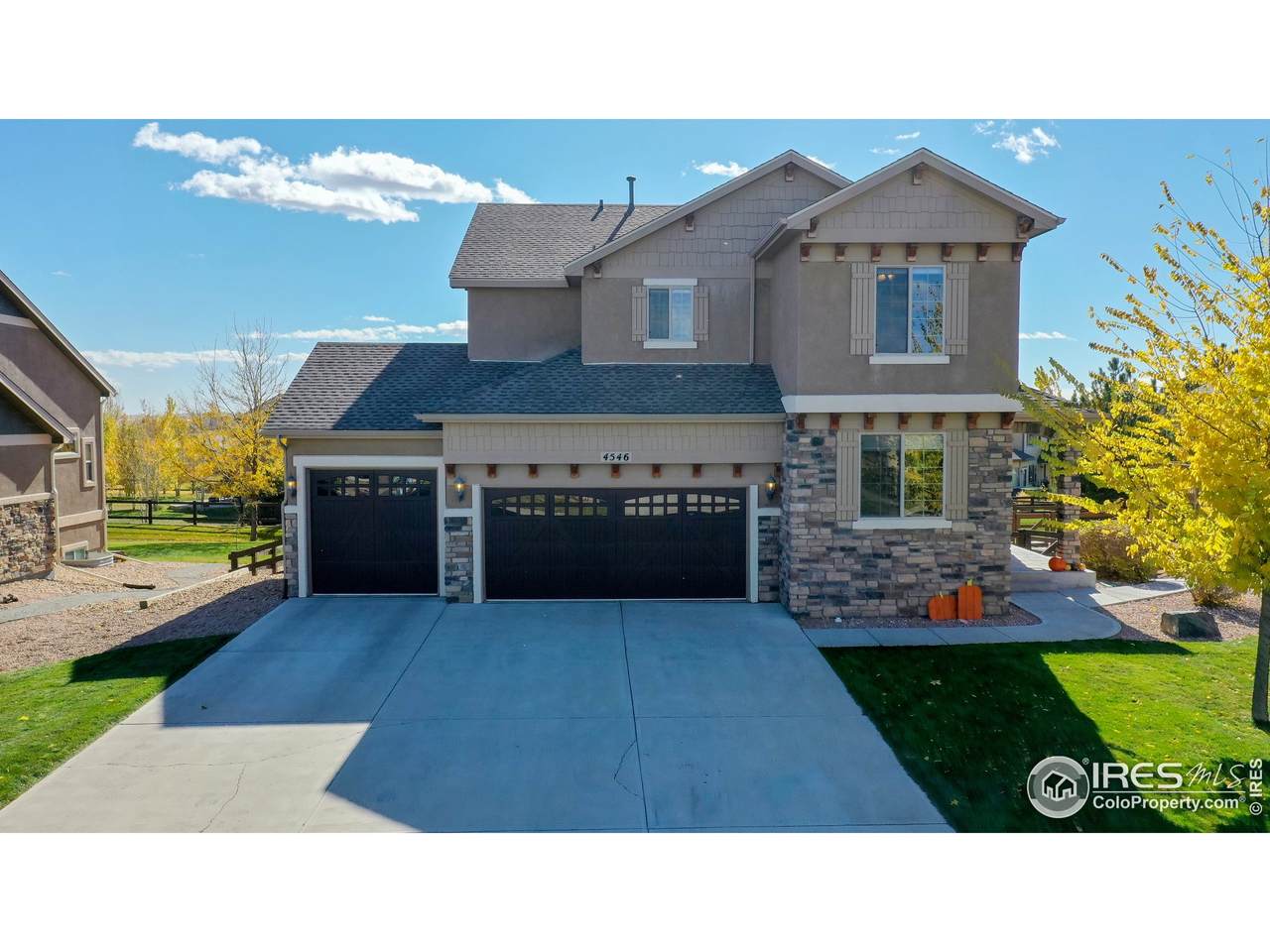 4546 Tarragon Dr - Photo 1