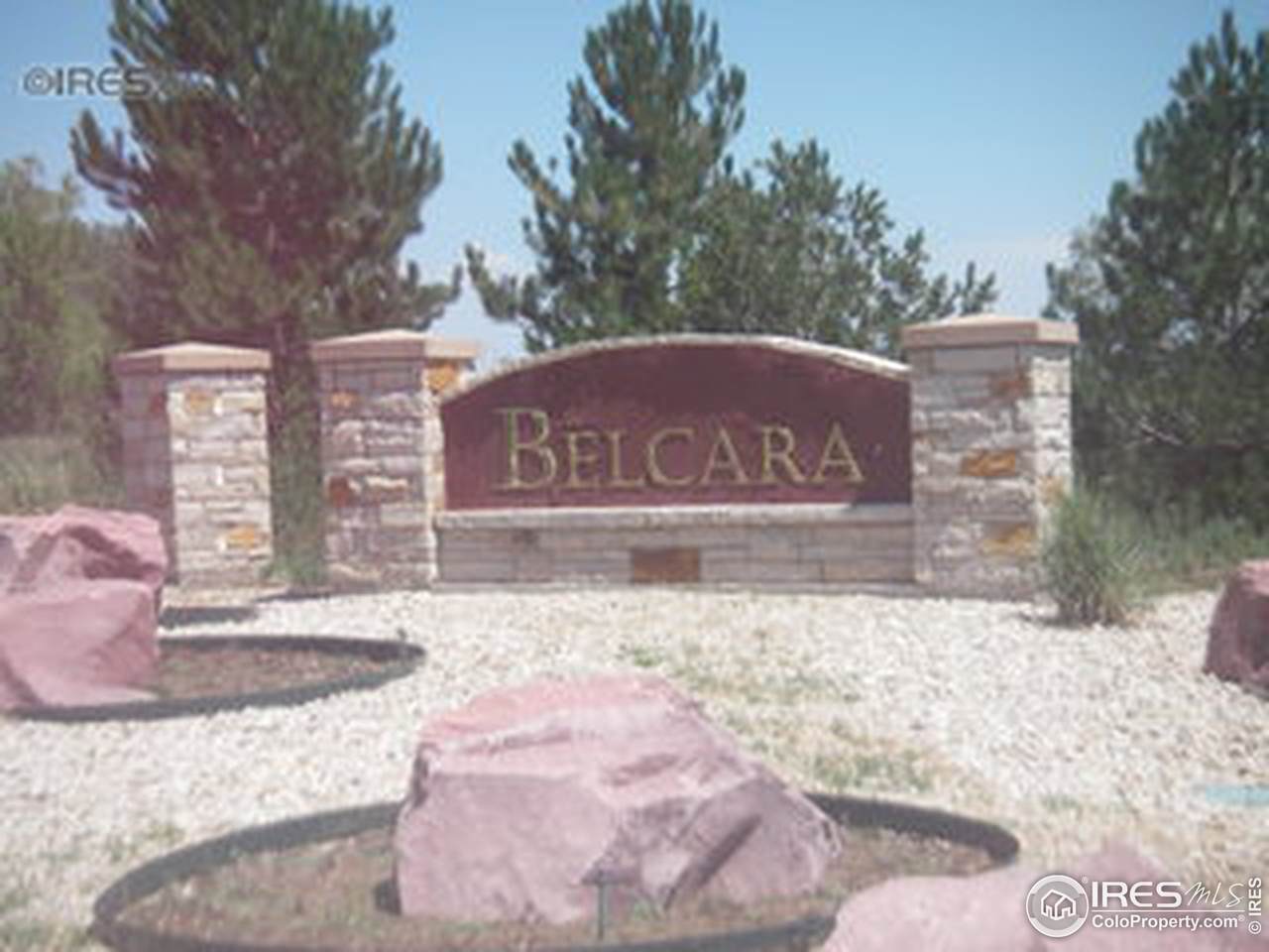 1011 Berthoud Peak Dr - Photo 1
