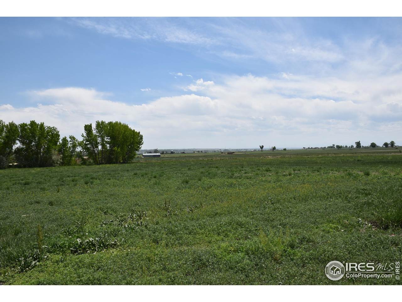 3113 County Road 17 - Photo 1