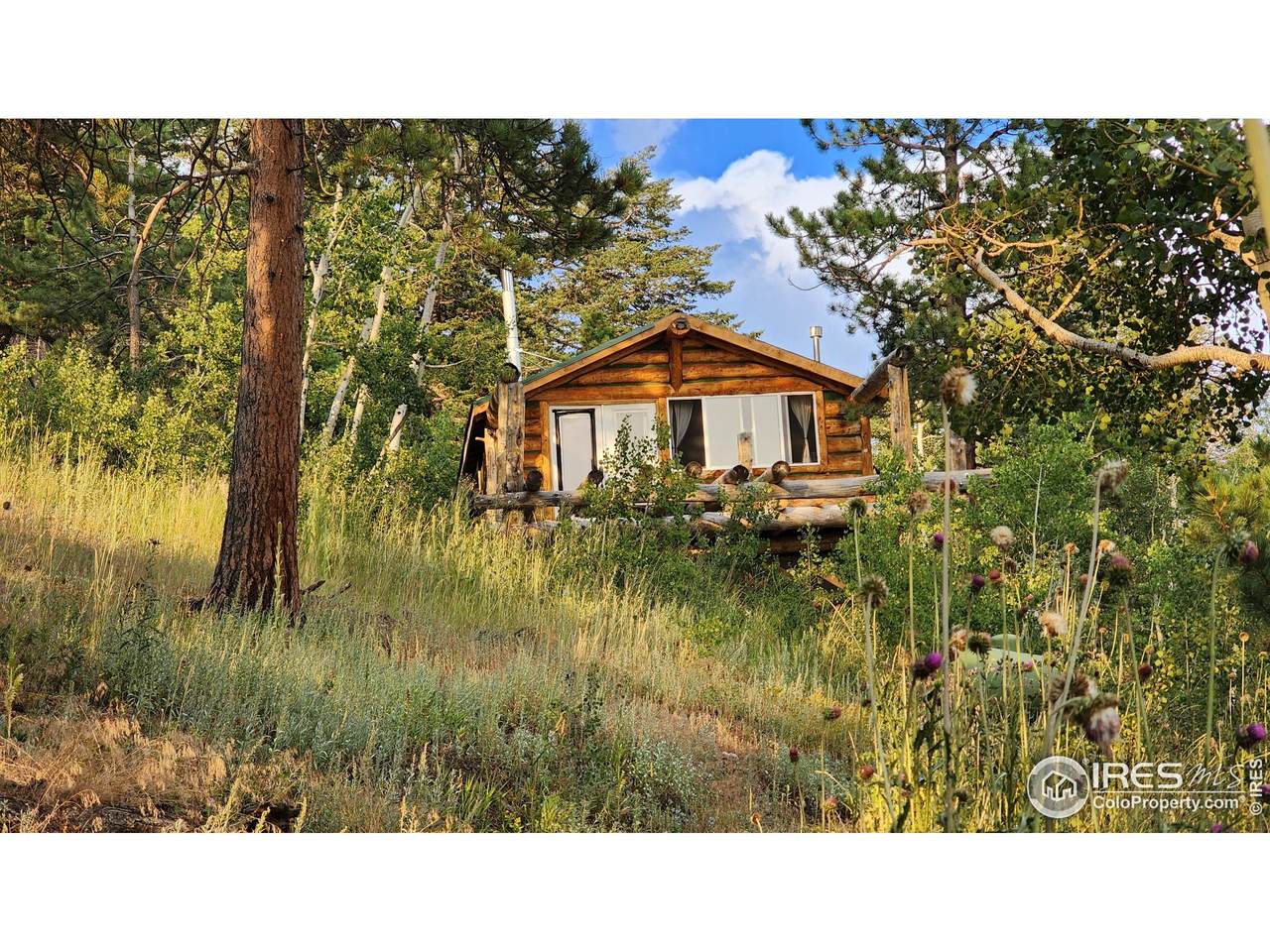 7026 Storm Mountain Dr - Photo 1