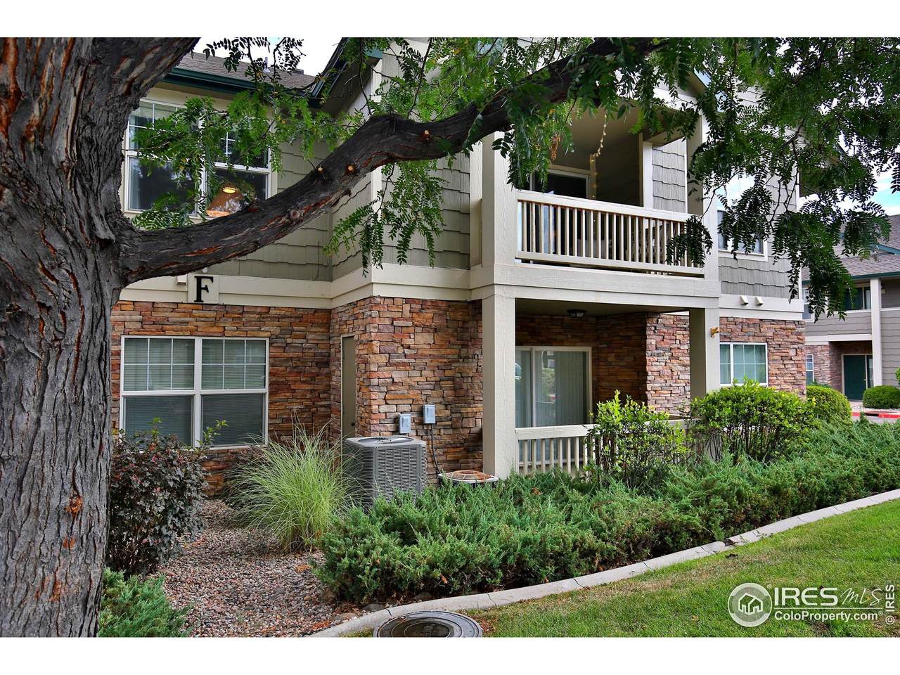 5225 White Willow Dr - Photo 1