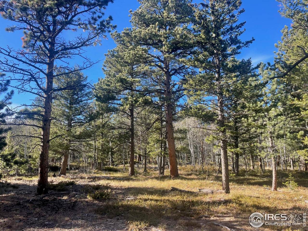 399 Skinner Rd - Photo 1
