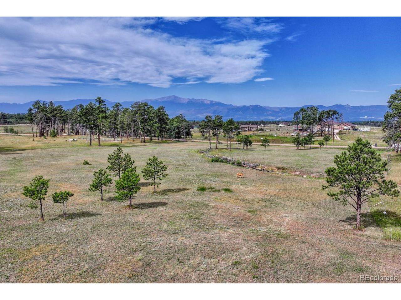 4 Forest Heights Cir - Photo 1