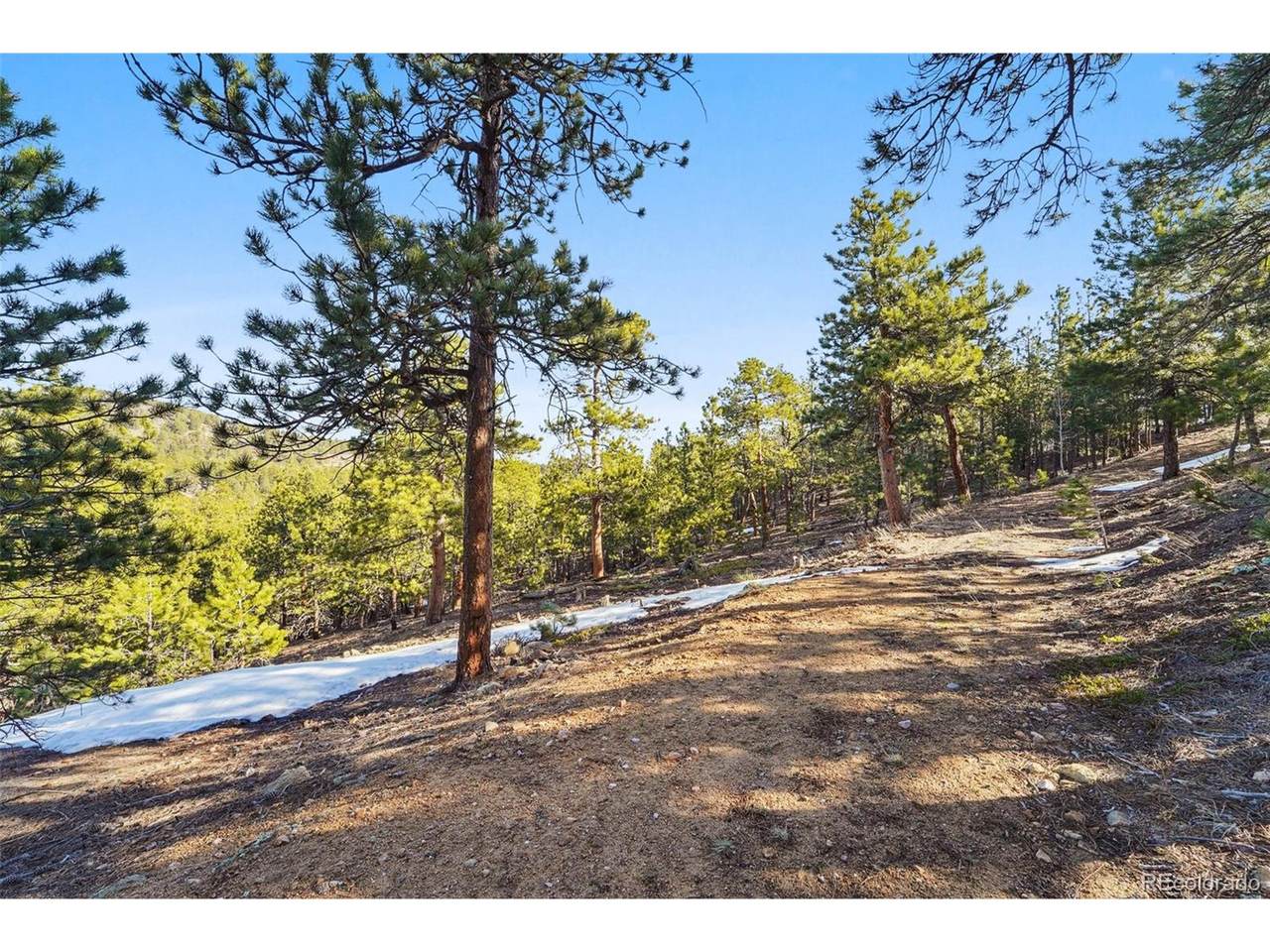 854 Crescent Lake Rd - Photo 1