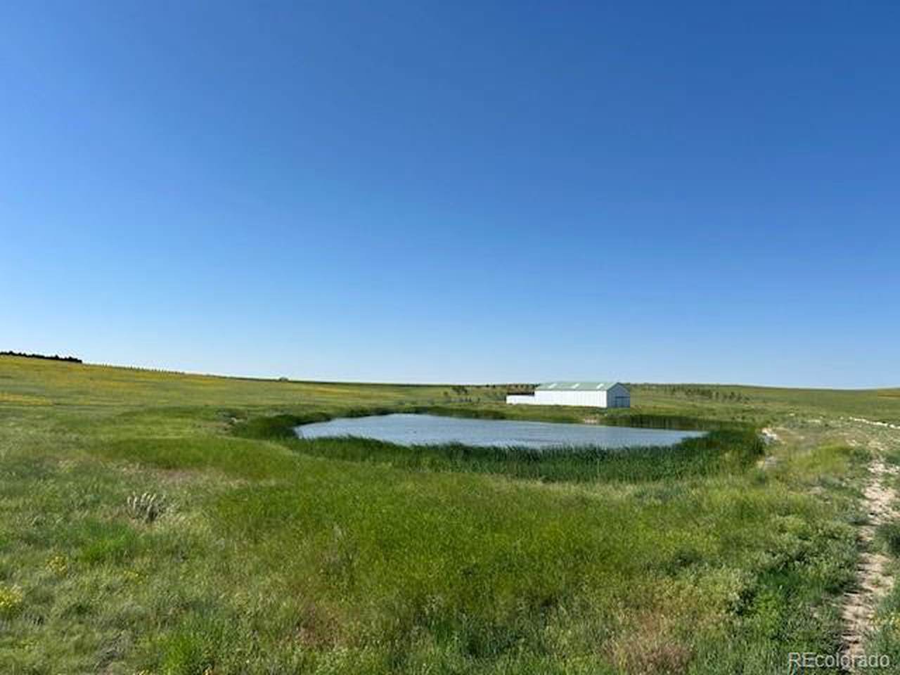 24105 State Highway 86 - Photo 1