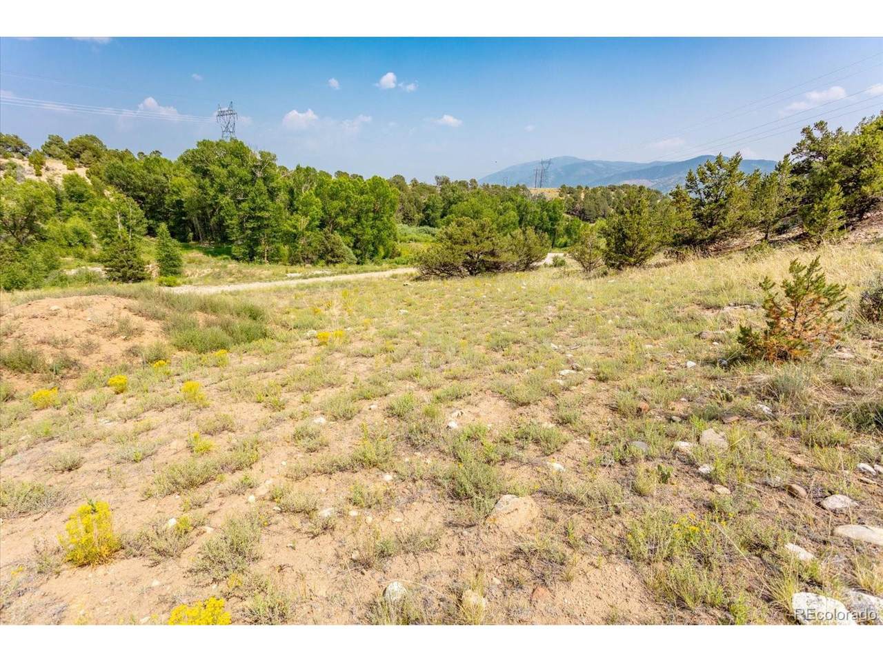 7921 Cozart Ln - Photo 1