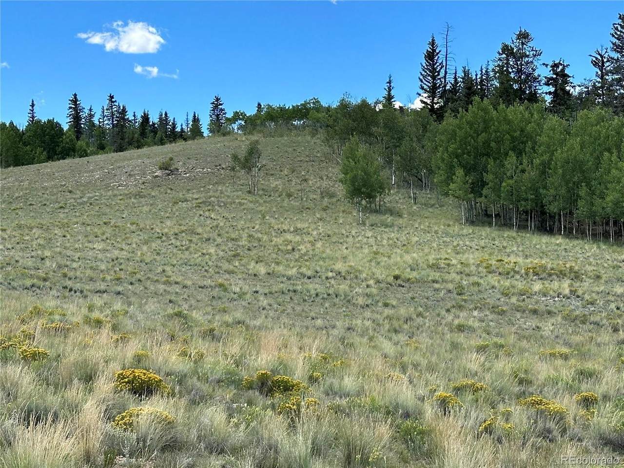 98 Wabeno Ct - Photo 1