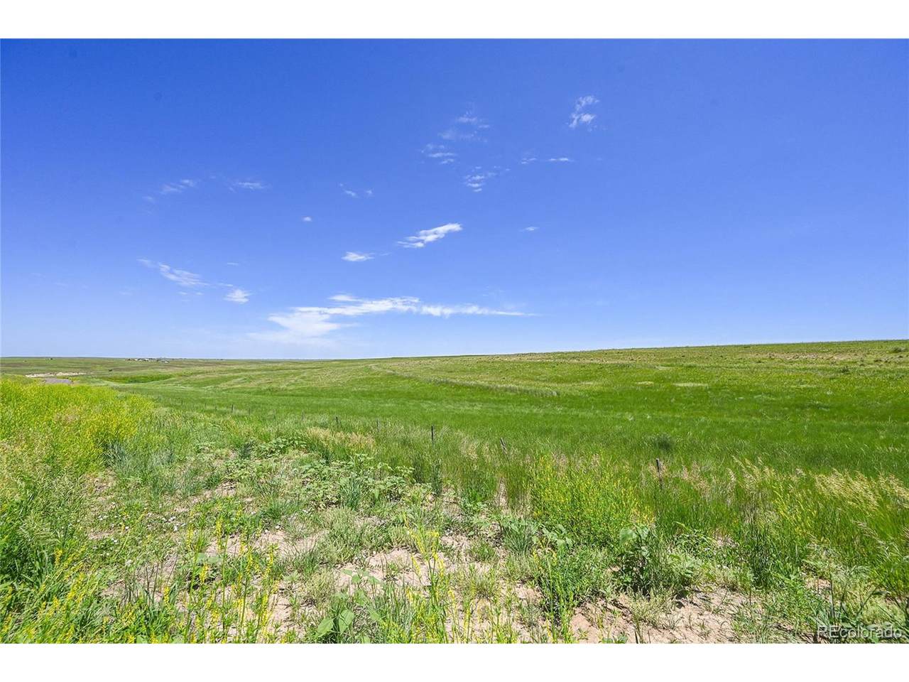  Last Dart Rd - Photo 1