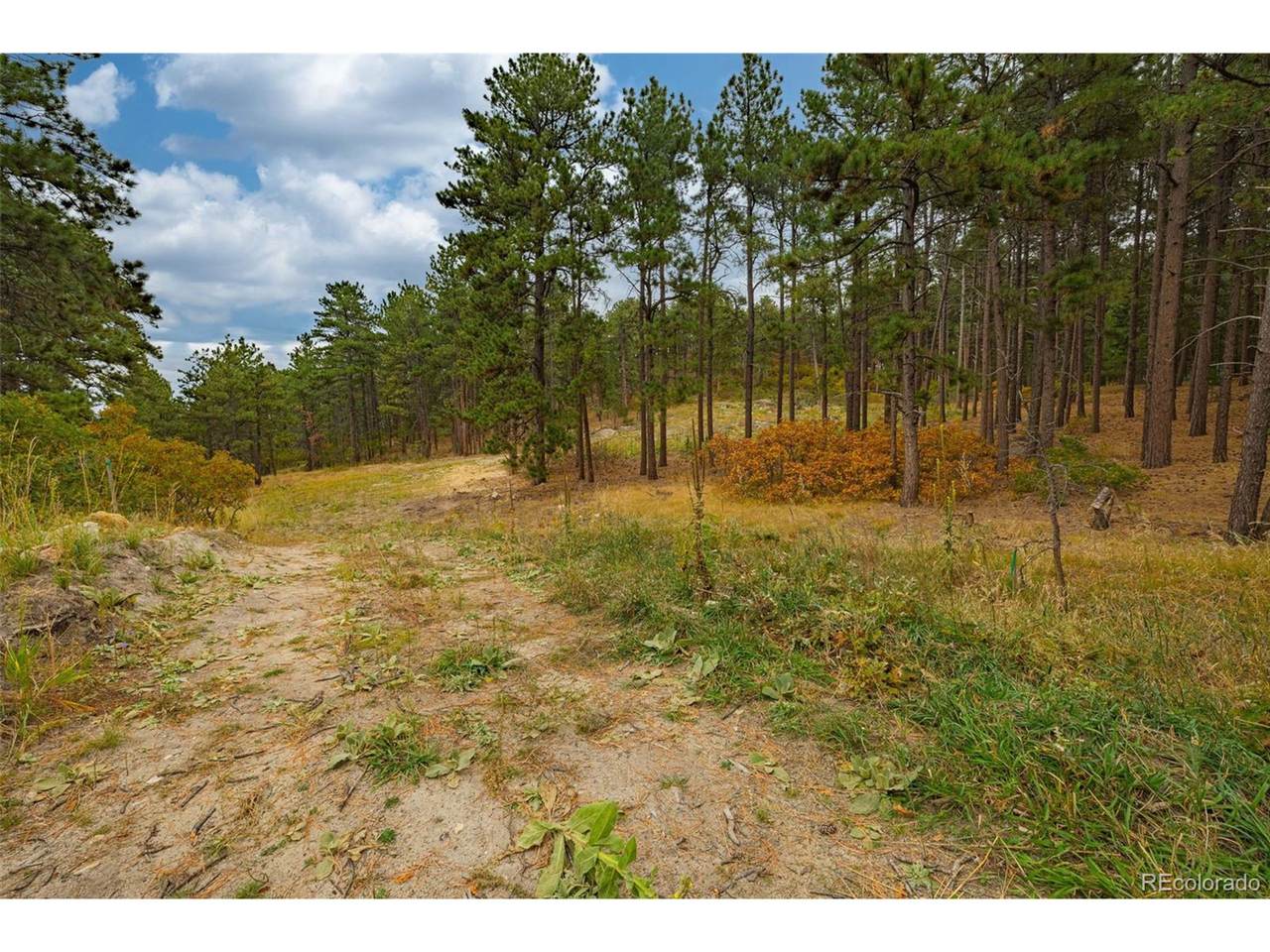 14420 Perry Park Rd - Photo 1