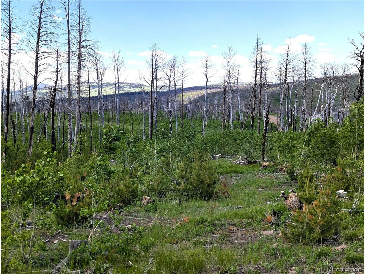 1590 Douglas Ln - Photo 1