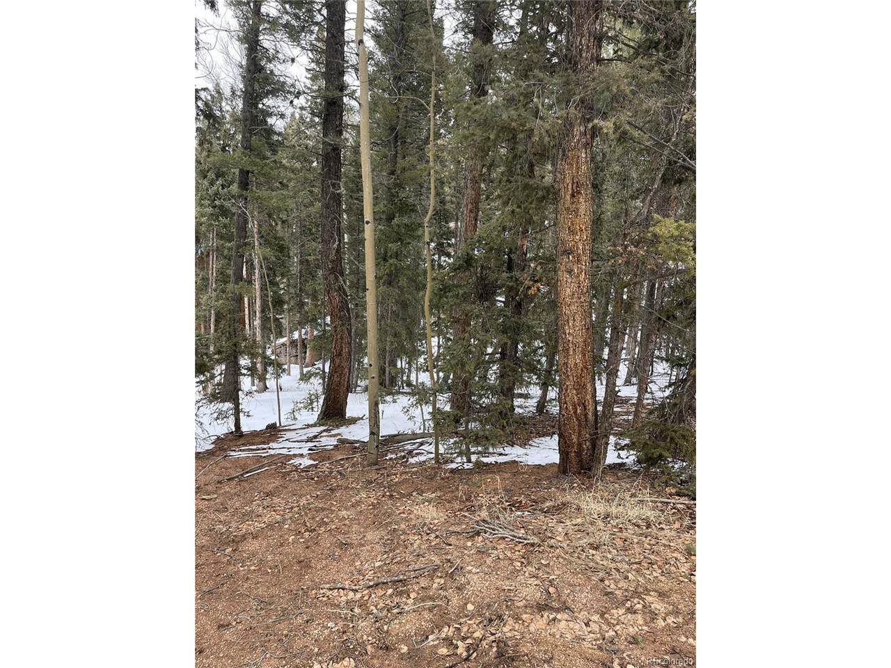 2763 Mountain Estates Rd - Photo 1