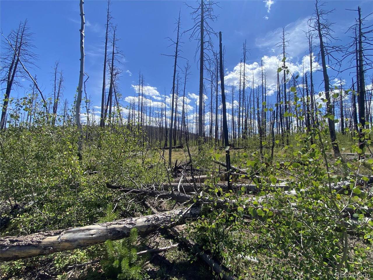 1637 Cary Ln - Photo 1