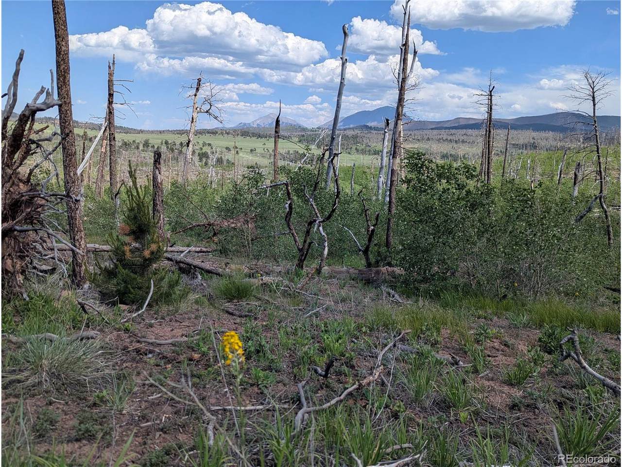 1956 Hilda Ln - Photo 1