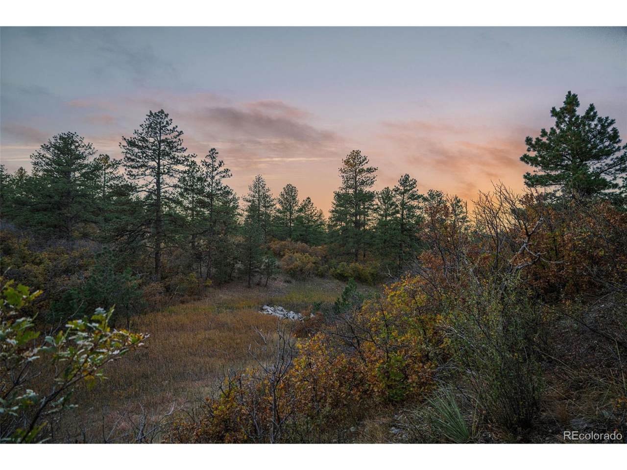 11011 Sunset Oaks Pl - Photo 1