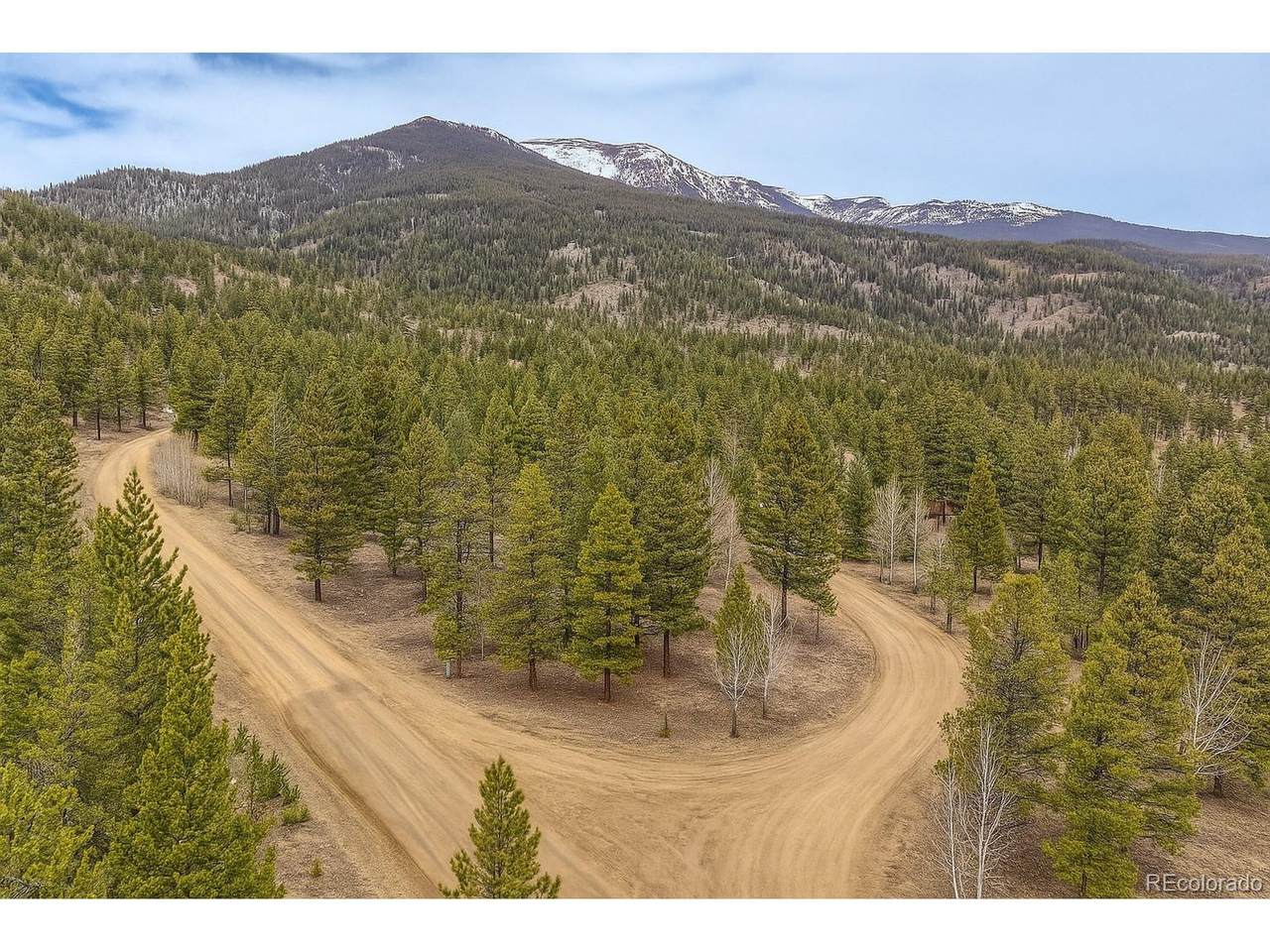 30406 National Forest Dr - Photo 1