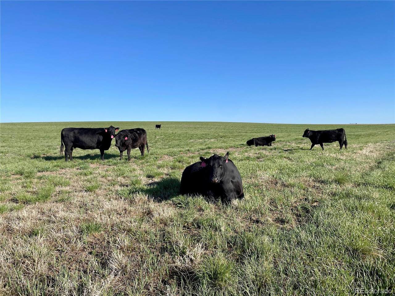  County Road 125 - Photo 1