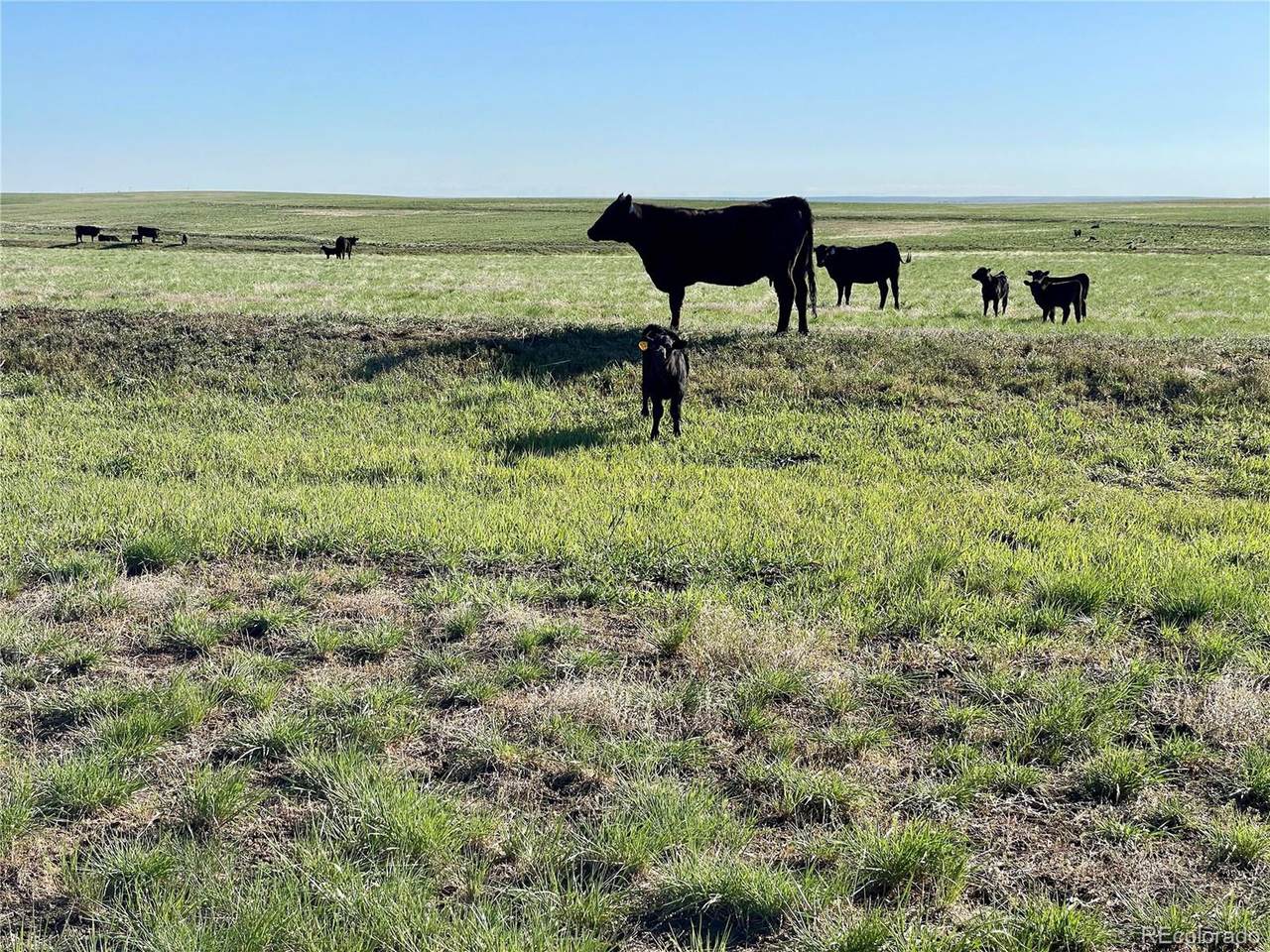 9 County Road 166 - Photo 1