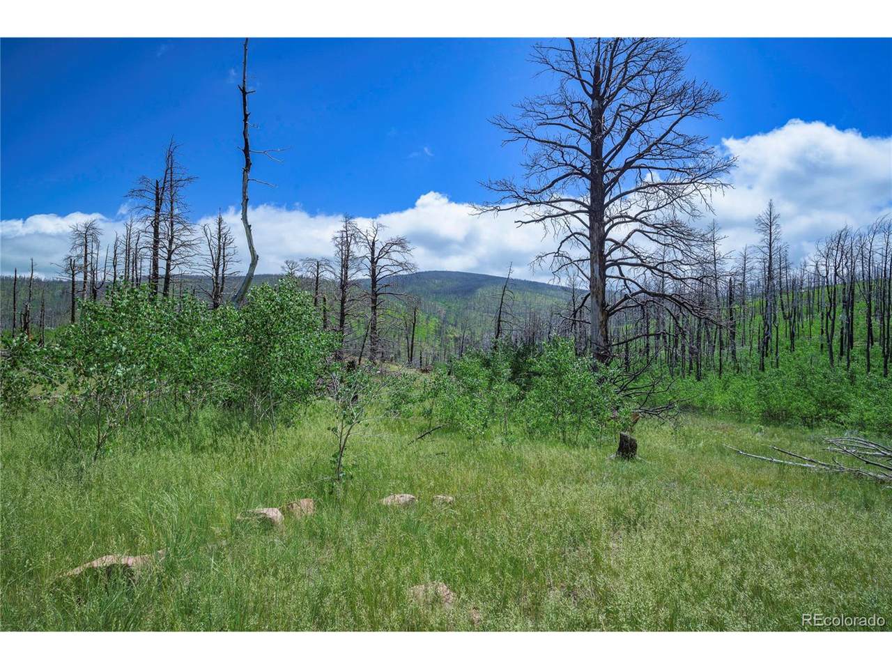 1185 Bechtel Pl - Photo 1