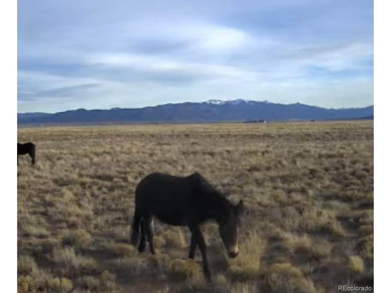 0 Acoma Trl - Photo 1