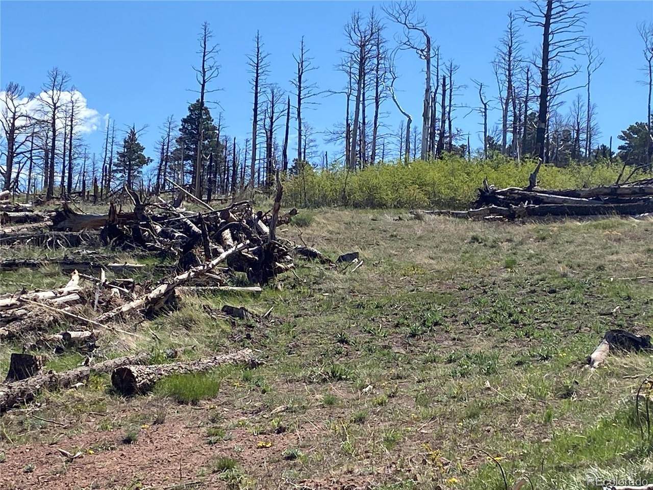 2142 Riccardo Ln - Photo 1