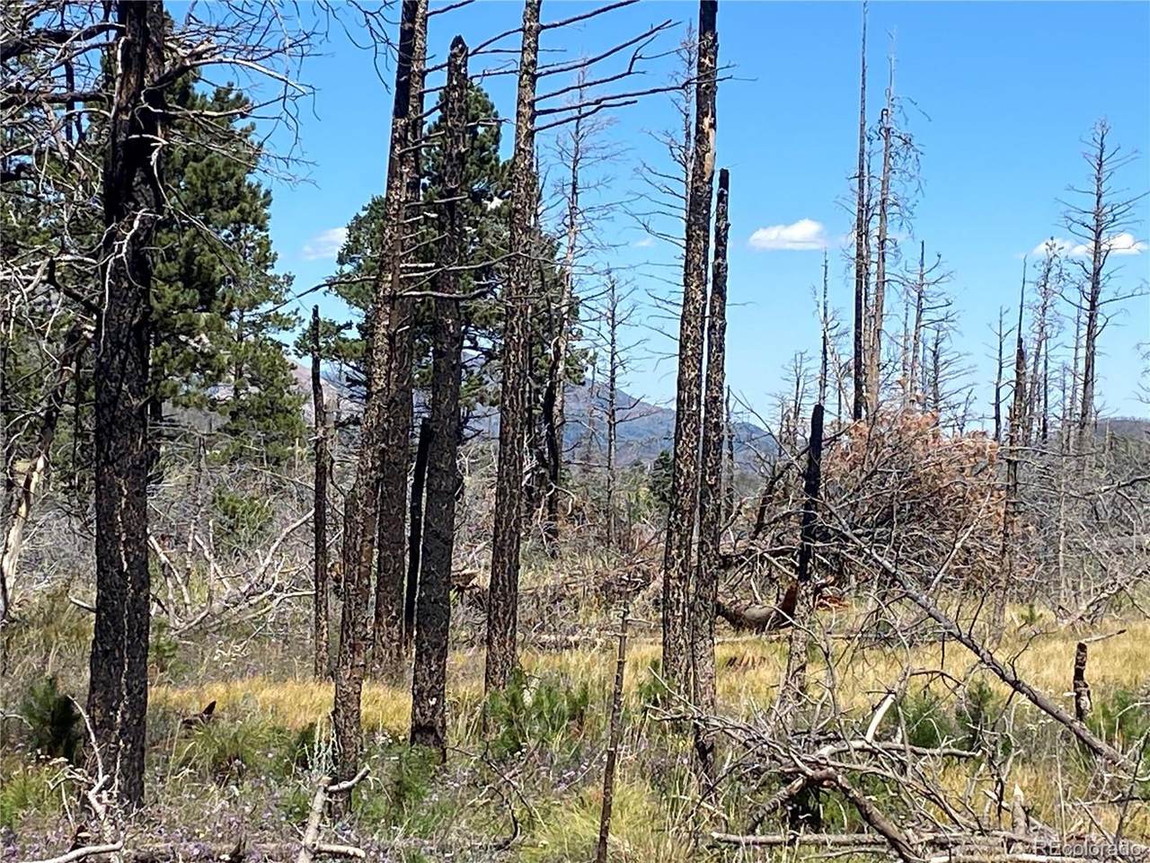 2169 Hayden Ln - Photo 1