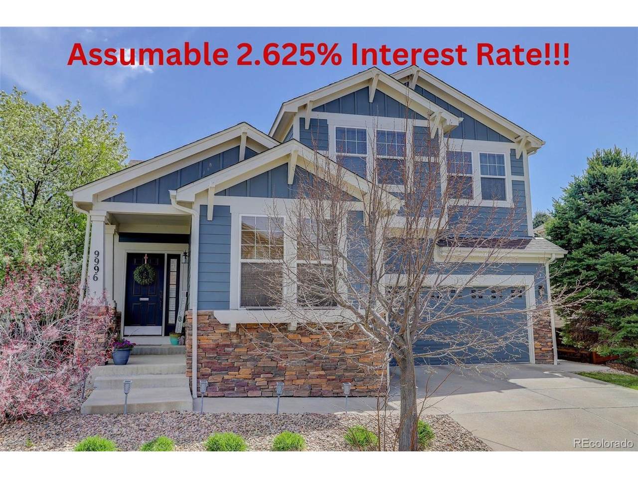 9996 Sedalia St - Photo 1