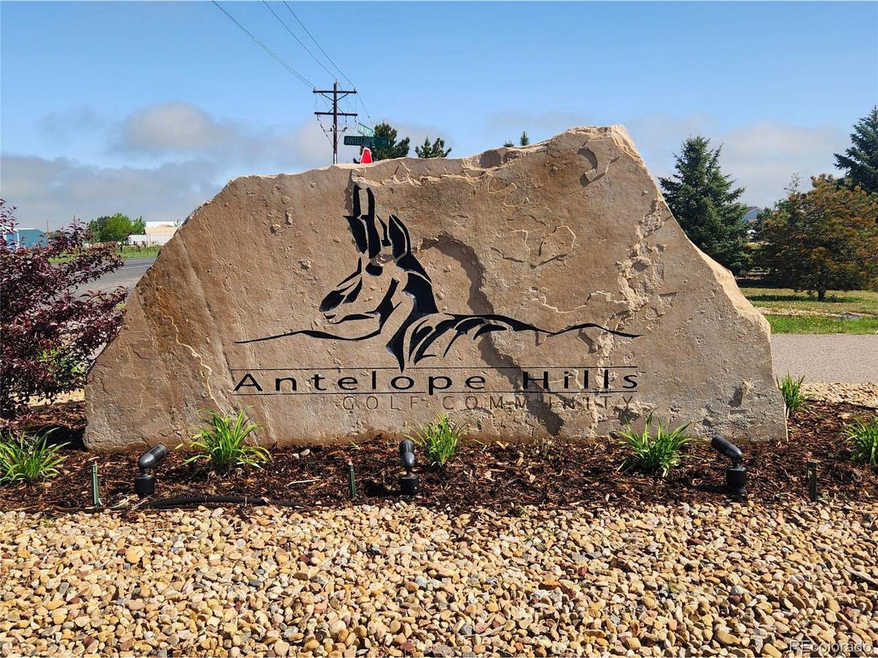 865 Antelope Dr - Photo 1