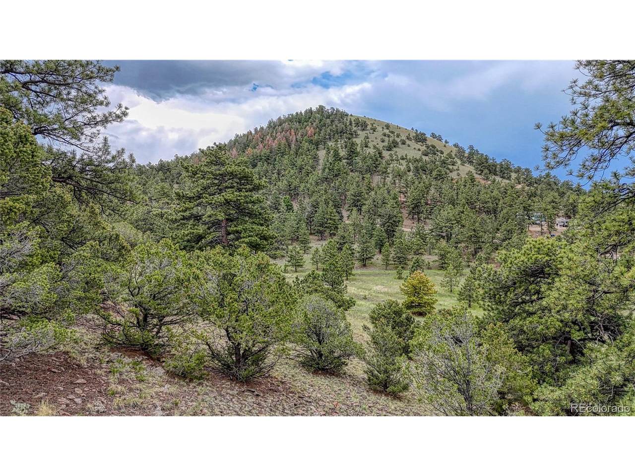 44 Honeysuckle Ter - Photo 1