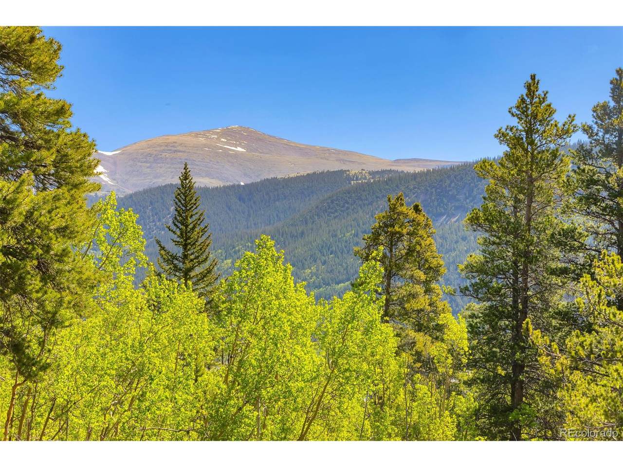 715 Lewsader Rd - Photo 1