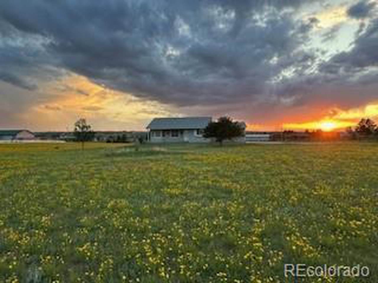 46531 Sundance Trl - Photo 1