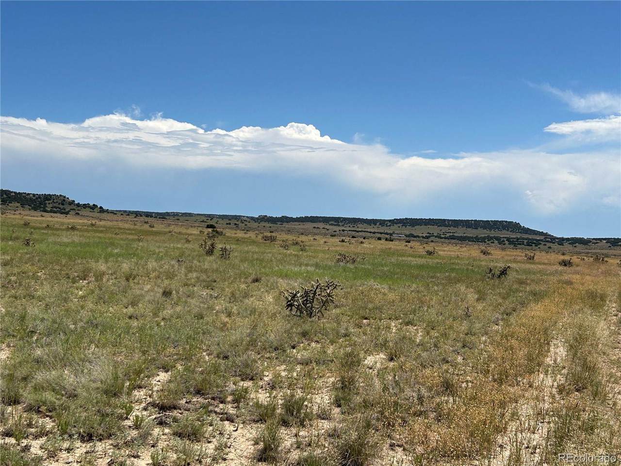 4 Outback Ranch - Photo 1