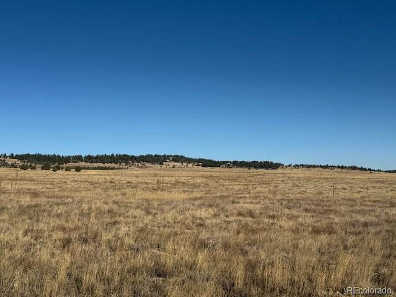 1 County Road 102 - Photo 1