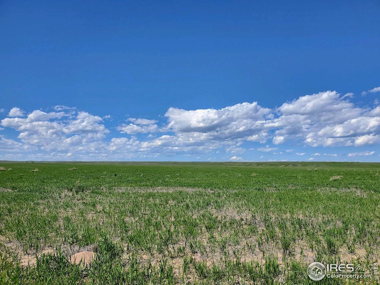 0 Lot 4 County Road 102 - Photo 1