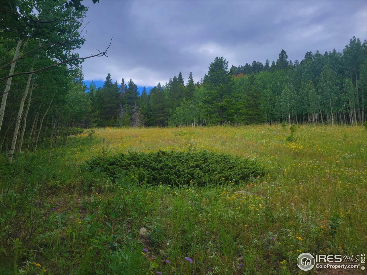 42600 Peak To Peak Hwy - Photo 1