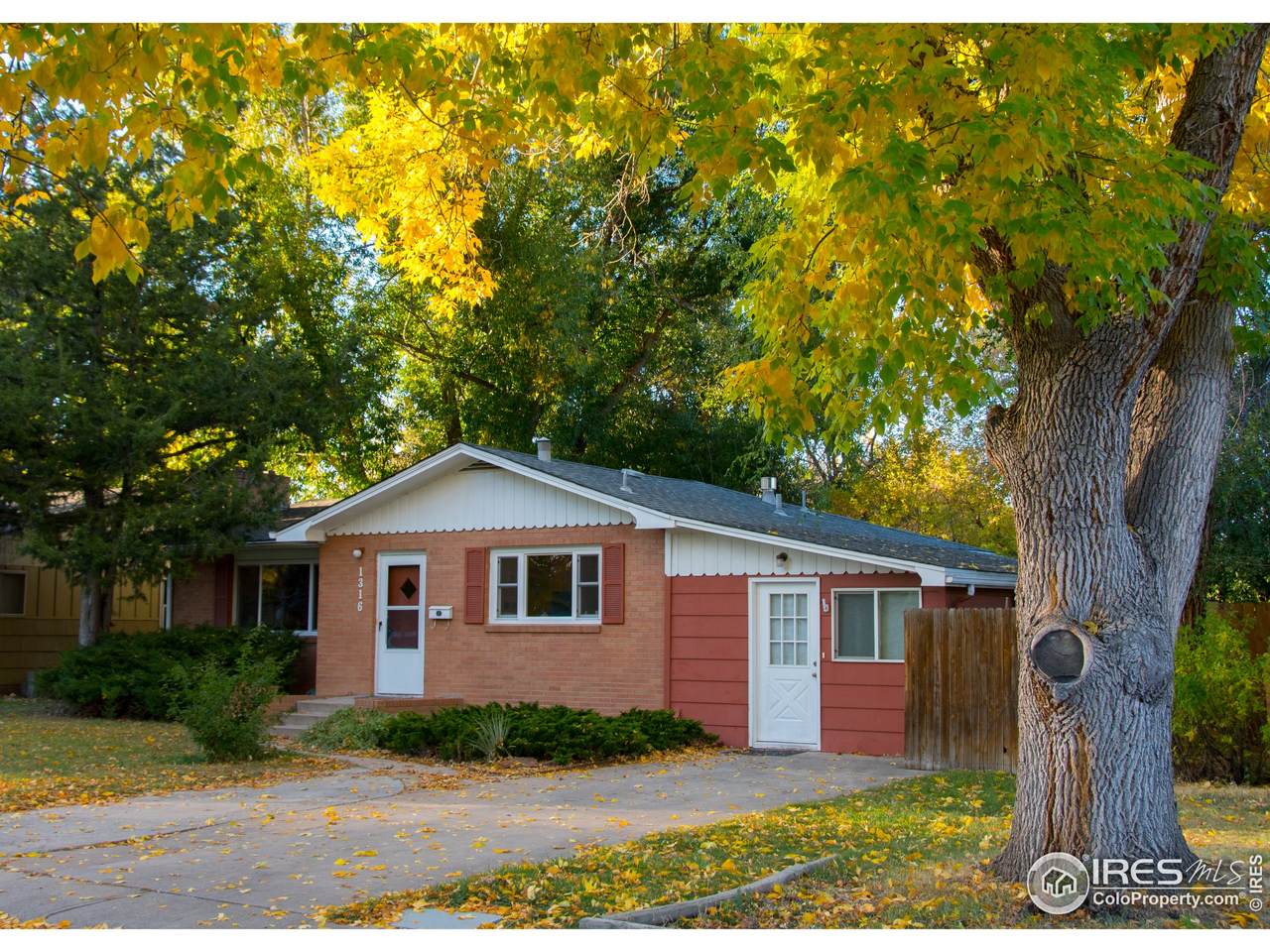 1316 Lakewood Dr - Photo 1