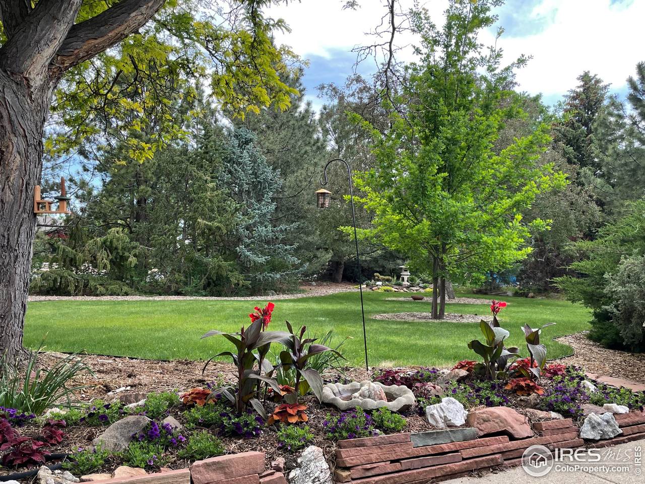 12911 Sheramdi St - Photo 1
