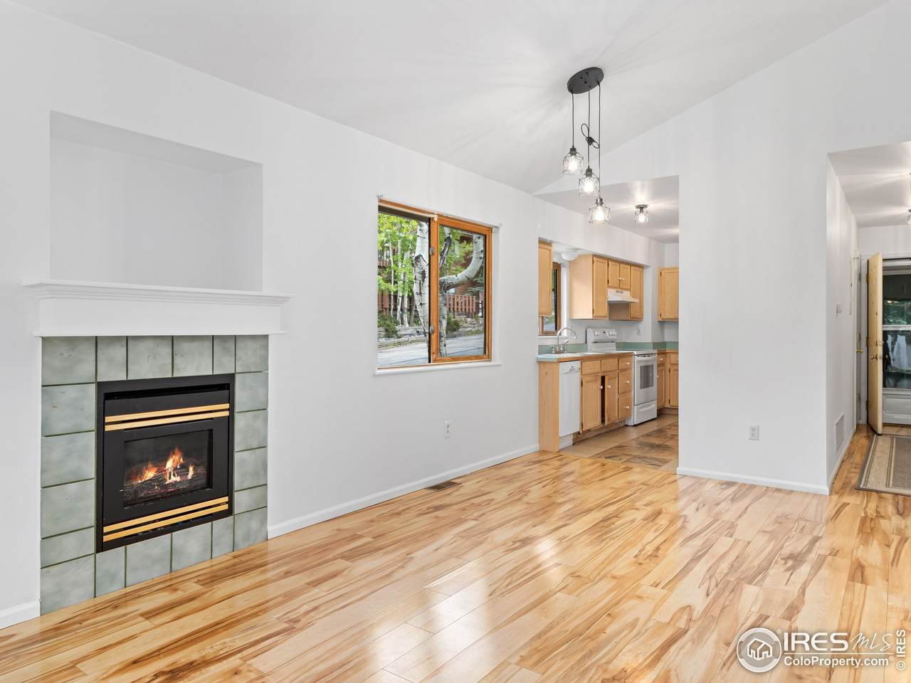1010 Saint Vrain Ave - Photo 1